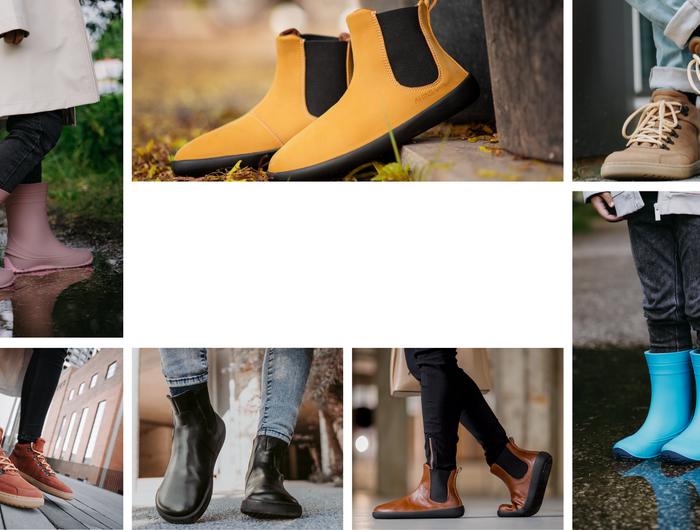 <h2></h2><h3>Lotem Barefoot</h3><h2></h2><h2></h2><h2></h2><h2></h2>