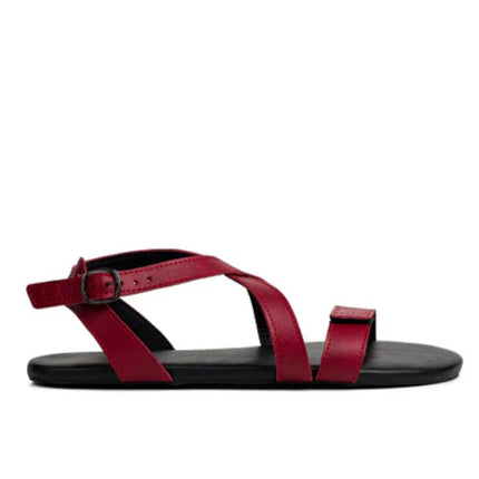 Ahinsa Hava - Burgundy sandals women & men barefoot אהינסה Hava סנדלים ברפוט בצבע Burgundy לנשים ולגברים