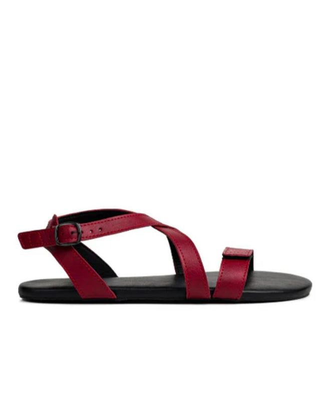 Ahinsa Hava - Burgundy sandals women & men barefoot אהינסה Hava סנדלים ברפוט בצבע Burgundy לנשים ולגברים