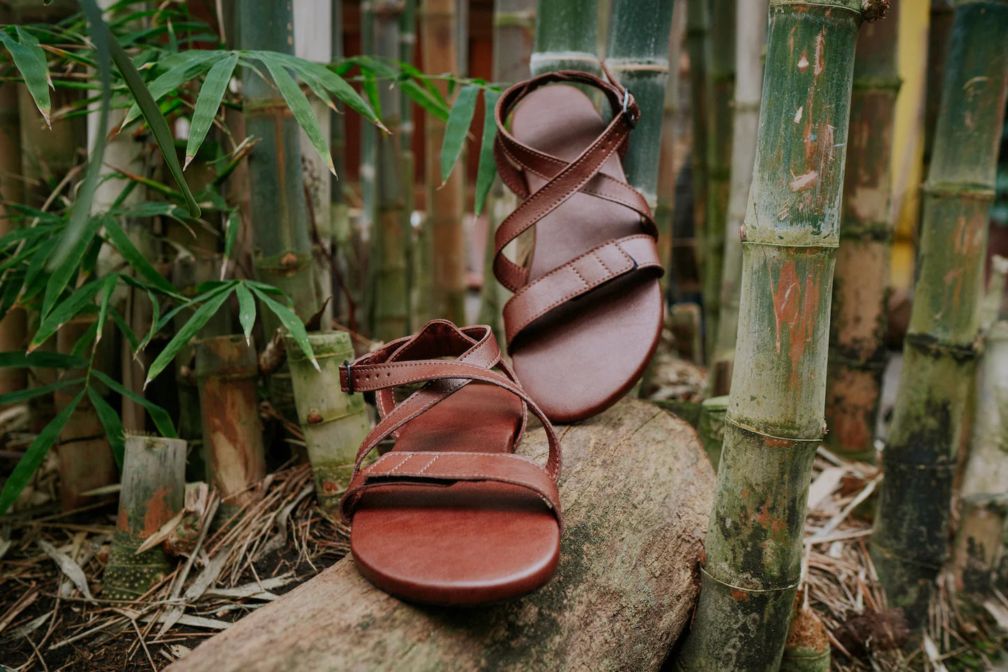 Ahinsa Hava 2.0 brown vegan barefoot sandals סנדלי ברפוט טבעוניים