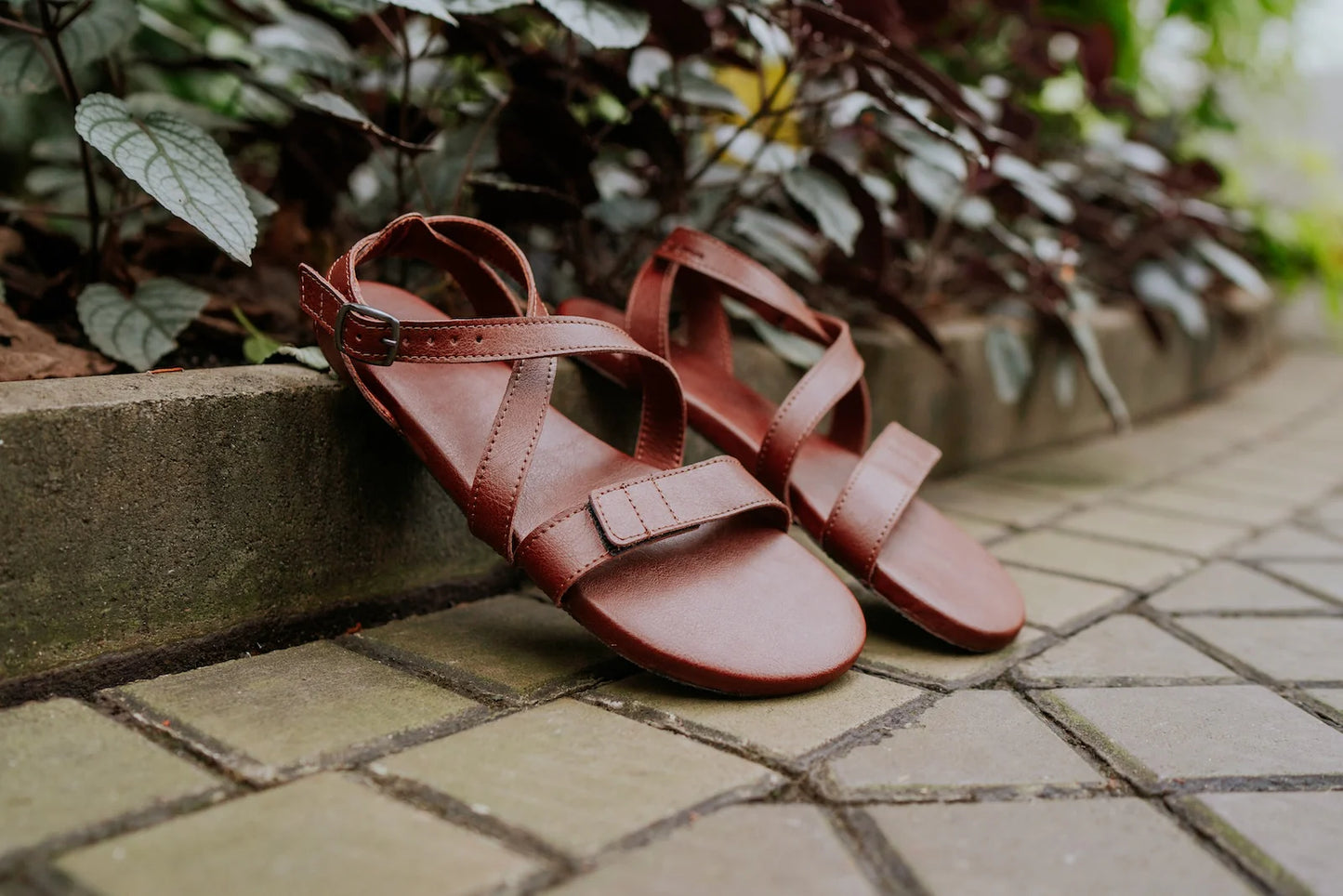 Ahinsa Hava 2.0 brown vegan barefoot sandals סנדלי ברפוט טבעוניים
