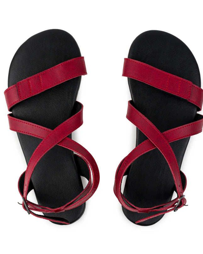 Ahinsa Hava - Burgundy sandals women & men barefoot אהינסה Hava סנדלים ברפוט בצבע Burgundy לנשים ולגברים
