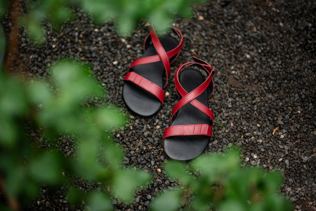 Ahinsa Hava - Burgundy Strap-Up barefoot sandals אהינסה חווה סנדלי ברפוט בורדו טבעוניות לנשים