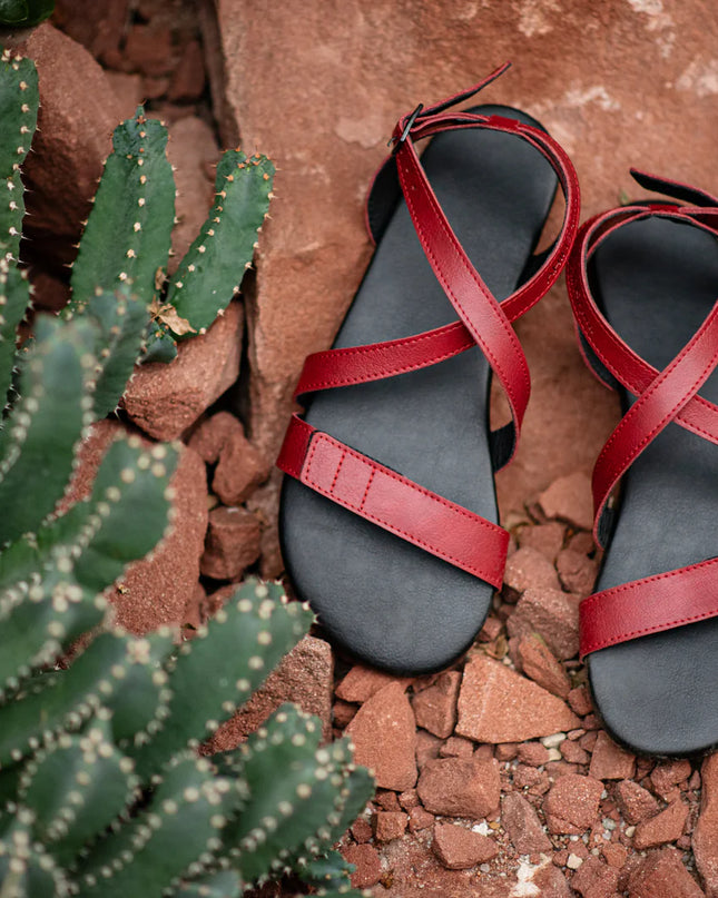 Ahinsa Hava - Burgundy sandals women & men barefoot אהינסה Hava סנדלים ברפוט בצבע Burgundy לנשים ולגברים