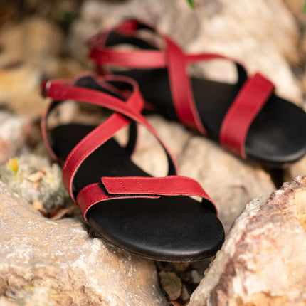 Ahinsa Hava - Burgundy sandals women & men barefoot אהינסה Hava סנדלים ברפוט בצבע Burgundy לנשים ולגברים