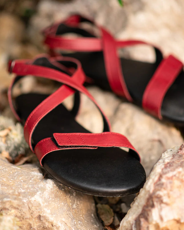 Ahinsa Hava - Burgundy sandals women & men barefoot אהינסה Hava סנדלים ברפוט בצבע Burgundy לנשים ולגברים