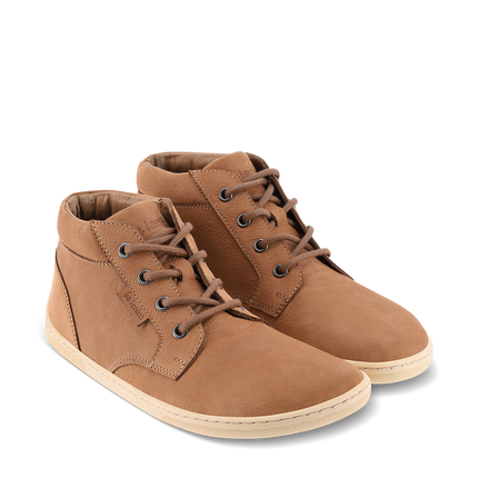 Synergy / קוניאק