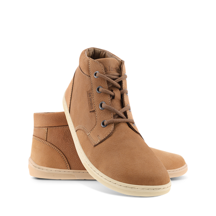 Synergy / קוניאק