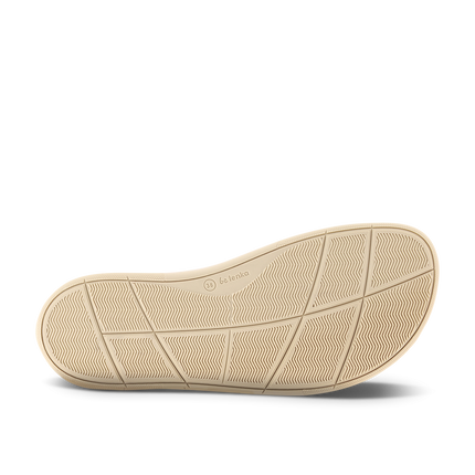 Synergy / קוניאק